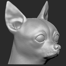 Chihuahua Kopf drucken bereit 3d Modell gedruckte Realität 3d print model - Mito3D
