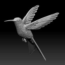 colibri ronzio uccello Stampa pronto 3d modello esploratore 3d print model - Mito3D