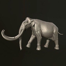colombiano mamute impressão pronto 3d modelo antodonte 3d print model - Mito3D
