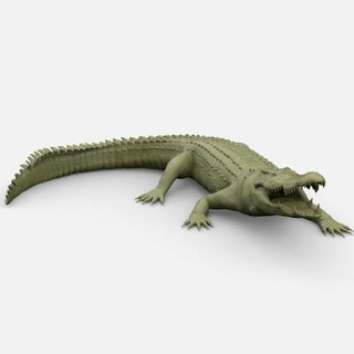 crocodile 3dgonza 3d print model - Mito3D