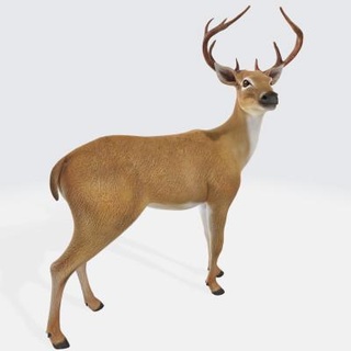 deer animals statue - 3d print model dawnhurt 3d print model - Mito3D