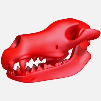 dog skull print-ready-3d-Modell 3d print-ready-Hund-Schädel-3d-Modellüberprüft, repariert professionelle 3d-Druck-softwareAlbum Vorhören Bilder gemacht 3ds max mit v-ray gerendertHinweis: das Modell enthält 2 separate Teile gezeigt, die zweite Vorschauschauen Sie sich auch komplette version für andere 3d-Formate 3D print model - Mito3D