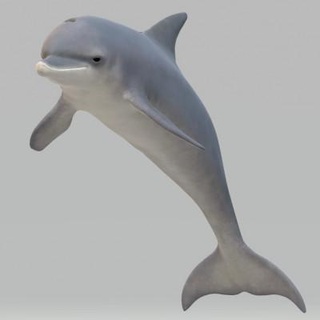 Delfin Skulpturen frei 3d drucken Modell Morgengrauen 3d print model - Mito3D