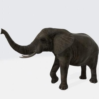 elephant animal - 3d print model dawnhurt 3d print model - Mito3D