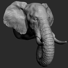 elephant head - print ready 3d model guninnik81 3d print model - Mito3D
