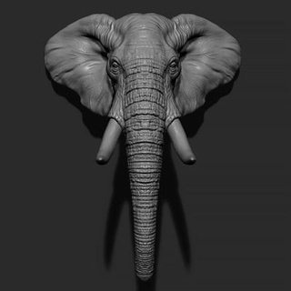elefante cabeza colmillos guninnik81 3d print model - Mito3D