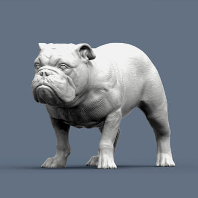english bulldog 3d print model alexander3dart 3D print model - Mito3D