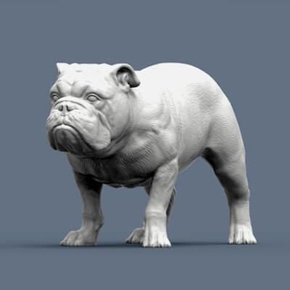 Englisch Bulldogge 3d drucken Modell alexander3dart 3d print model - Mito3D