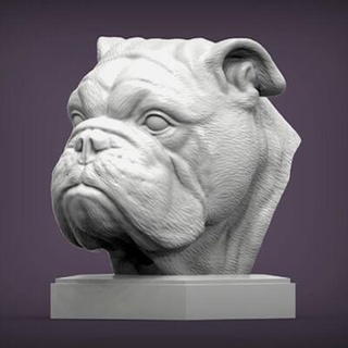 ingilizce bulldog büst 3d Yazdır model alexander3dart 3d print model - Mito3D