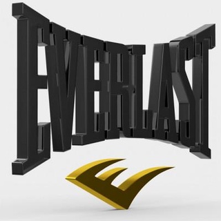 everlast logo - 3d print model logoman 3d print model - Mito3D