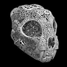 filigree anatomical bobcat skull print ready 3d model 3d print model - Mito3D