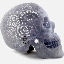 filigree anatomical skull print ready 3d model 3d print model - Mito3D