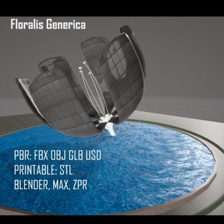 floralis generica printable renderable - 3d print model danyelon 3d print model - Mito3D