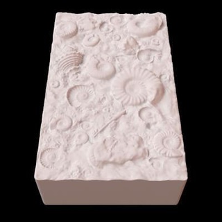 fossil shells mold - 3d print model bayazoff 3d print model - Mito3D