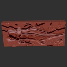 fragment dunkleosteus fouilles impression prêt 3d modèle 3d print model - Mito3D