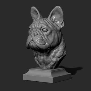 french bulldog bust - 3d print model guninnik81 3d print model - Mito3D