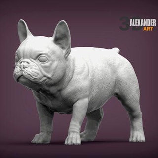 francese bulldog cucciolo 3d Stampa modello alexander3dart 3d print model - Mito3D