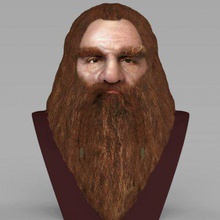 gimli lord rings bust full color print ready 3d model here son gloin printing current size 5 cm height but you free scale it zip file contains obj wrl texture png created zbrush mudbox photoshop 3d print model - Mito3D
