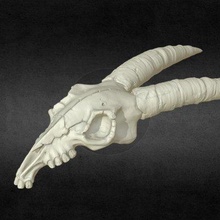 goat skull stylized - print ready 3d model alexkovalev 3d print model - Mito3D