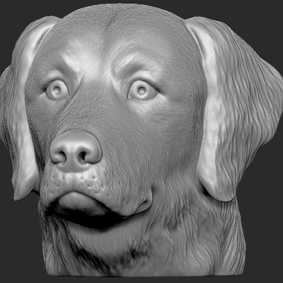 altın av köpeği baş Yazdır hazır 3d model basılı gerçeklik 3D print model - Mito3D