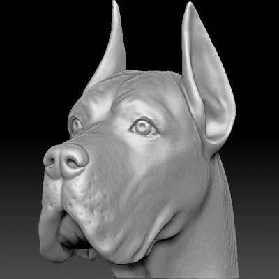 génial Danois tête impression prêt 3d modèle réalité imprimée 3D print model - Mito3D
