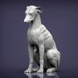 greyhound sitting 3d print model alexander3dart 3d print model - Mito3D