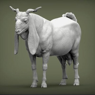 gulabi goat 3d print model alexander3dart  3d print model - Mito3D