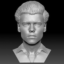 Harry estilos busto impresión Listo 3d modelo Realidad impresa 3d print model - Mito3D
