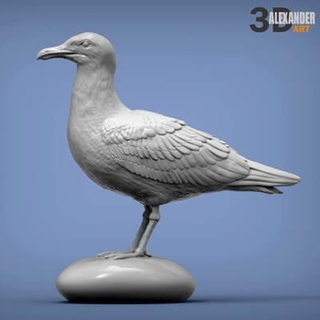 herring gull 3d print model alexander3dart 3d print model - Mito3D