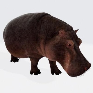 hippopotamus animal - 3d print model dawnhurt 3d print model - Mito3D