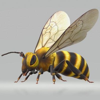 avispón abeja animales 3d impresión modelo amanecer herido 3d print model - Mito3D