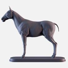cavallo Stampa pronto 3d modello alex studi 3d print model - Mito3D