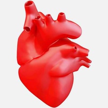 human heart print ready 3d model print-ready modelchecked repaired professional printing softwaremodel manifold watertight without any gaps between faces edges error free preview images done 3ds max using v-ray render 3d print model - Mito3D