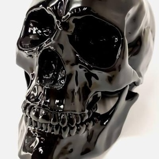 human skull 3d printing mardimcore 3d print model - Mito3D
