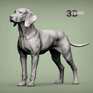 Macarca Vizsla işaret köpek 3d Yazdır model alexander3dart 3d print model - Mito3D