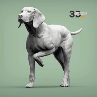 húngaro vizsla señalando perro 3d impresión modelo alexander3dart 3d print model - Mito3D