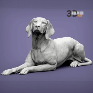 hongrois vizsla montrer doigt chien 3d impression modèle alexander3dart 3d print model - Mito3D