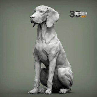 húngaro vizsla húngaro apontando cão 3d impressão modelo alexander3dart 3d print model - Mito3D
