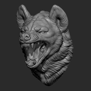 hyena grin head - 3d print model guninnik81 3d print model - Mito3D