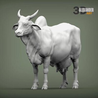 indian cow 3d print model alexander3dart 3d print model - Mito3D