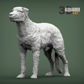 irish wolfhound 3d print model alexander3dart 3d print model - Mito3D