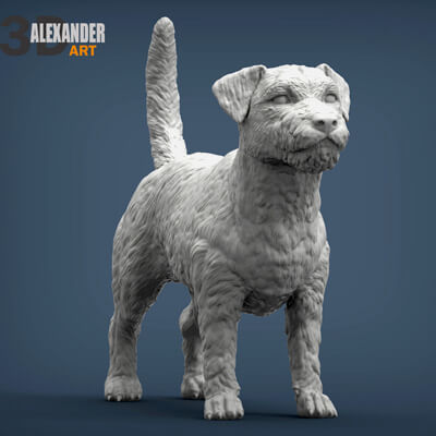 Jack russell terrier capelli lunghi 3d Stampa modello alexander3dart 3D print model - Mito3D