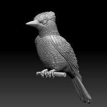 jay bird - print ready 3d model explorer jay bird - print ready 3d model explorer 3d print model - Mito3D
