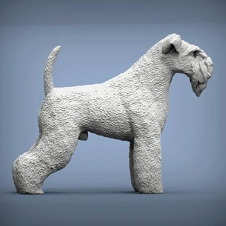 kerry blue terrier 3d print model alexander3dart 3d print model - Mito3D