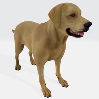 Labrador av köpeği köpek 3d Yazdır model şafak yarası 3d print model - Mito3D