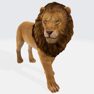 lion animals - 3d print model dawnhurt 3d print model - Mito3D