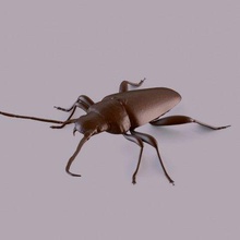 longhorn escarabajo impresión Listo 3d modelo 3d print model - Mito3D