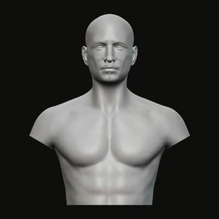 Masculin buste 020 3d impression modèle jaguar bête production 3d print model - Mito3D