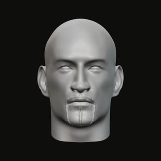 masculino cabeça 010 015 3d impressão modelo jaguar fera Produção 3d print model - Mito3D