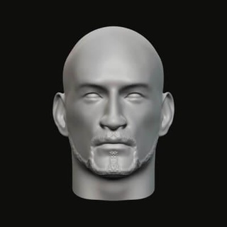 masculino cabeça 010 027 3d impressão modelo jaguar fera Produção 3d print model - Mito3D
